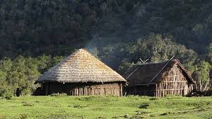 Traditional Arsi village